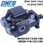 BƠM BÁNH RĂNG VỎ GANG OMFB NPGH
