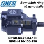 BƠM BÁNH RĂNG VỎ GANG OMFB NPGH