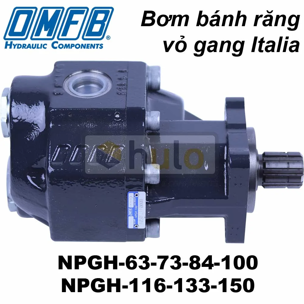 BƠM BÁNH RĂNG VỎ GANG OMFB NPGH