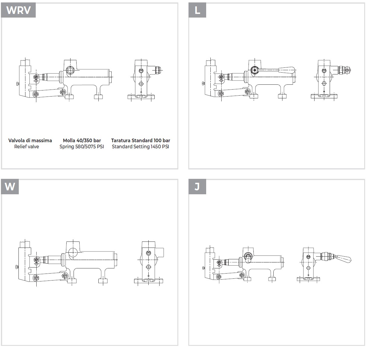 Các kiểu tùy chọn Bơm tay thủy lực 1 chiều PM50