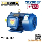 Động cơ điện TOYOKEI YE3 Series | B3/B35/B5