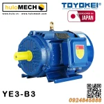 Động cơ điện TOYOKEI YE3 Series | B3/B35/B5
