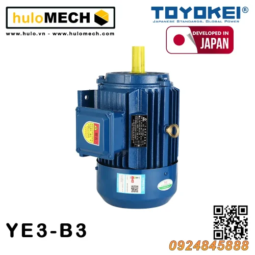 Động cơ điện 3 pha 380V/50Hz YE3-132AL/3kW-4kW-5.5kW-7.5kW TOYOKEI JAPAN / B14, B3, B34, B35, B5