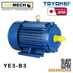 Động cơ điện TOYOKEI YE3 Series | B3/B35/B5