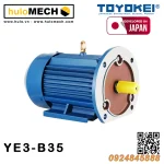 Động cơ điện TOYOKEI YE3 Series | B3/B35/B5