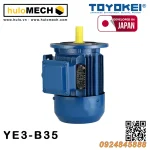 Động cơ điện TOYOKEI YE3 Series | B3/B35/B5