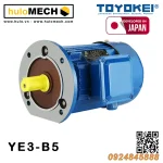 Động cơ điện TOYOKEI YE3 Series | B3/B35/B5