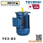 Động cơ điện TOYOKEI YE3 Series | B3/B35/B5