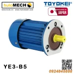 Động cơ điện TOYOKEI YE3 Series | B3/B35/B5