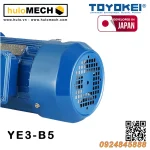 Động cơ điện TOYOKEI YE3 Series | B3/B35/B5